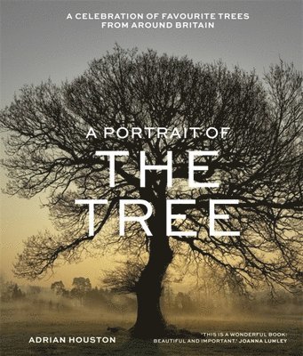 A Portrait of the Tree 1