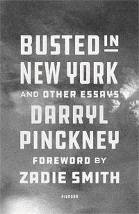 bokomslag Busted in New York & Other Essays