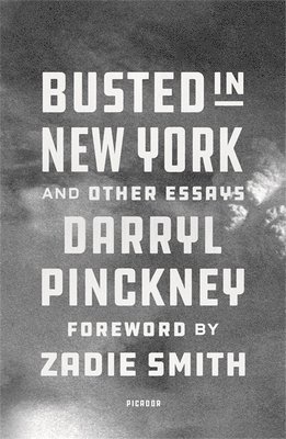 Darryl Pinckney - Busted in New York & Other Essays, Häftad
