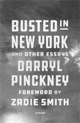 Busted in New York & Other Essays 1