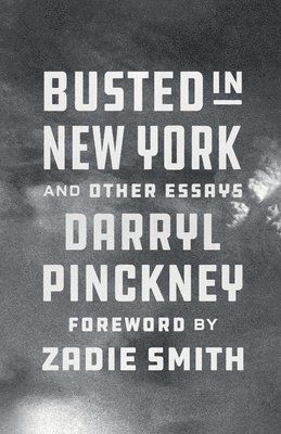 Busted in New York & Other Essays