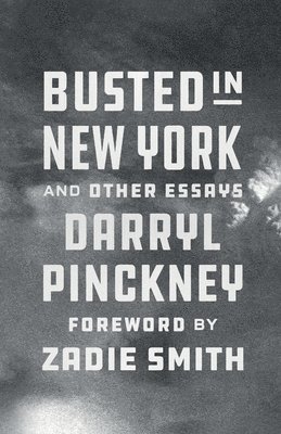 Busted in New York & Other Essays 1