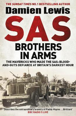 SAS Brothers in Arms 1