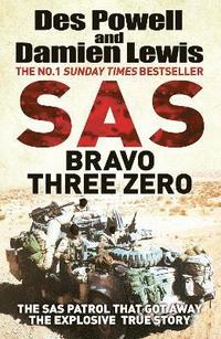 bokomslag SAS Bravo Three Zero