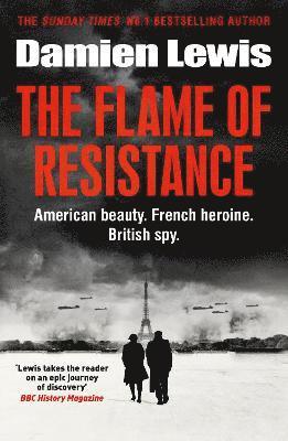 Damien Lewis - Flame of Resistance, Häftad