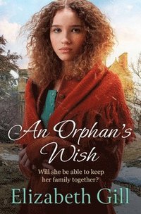 bokomslag An Orphan's Wish