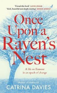 bokomslag Once Upon a Raven's Nest
