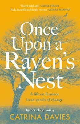 bokomslag Once Upon a Raven's Nest