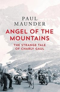 bokomslag Angel of the Mountains