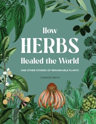 bokomslag How Herbs Healed the World