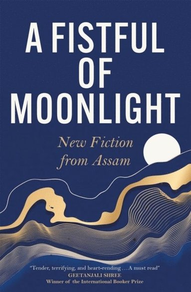 bokomslag Fistful of Moonlight