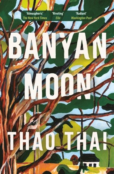bokomslag Banyan Moon
