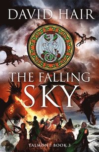 bokomslag Falling Sky