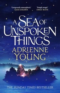 bokomslag Sea of Unspoken Things