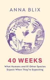 bokomslag Blix, A: 40 Weeks