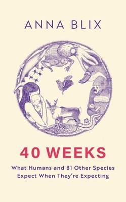Anna Blix - 40 Weeks, Häftad