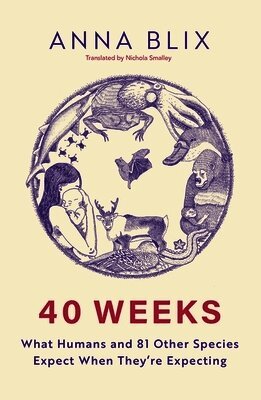 Anna Blix - 40 Weeks, Häftad