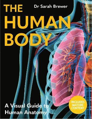 The Human Body 1