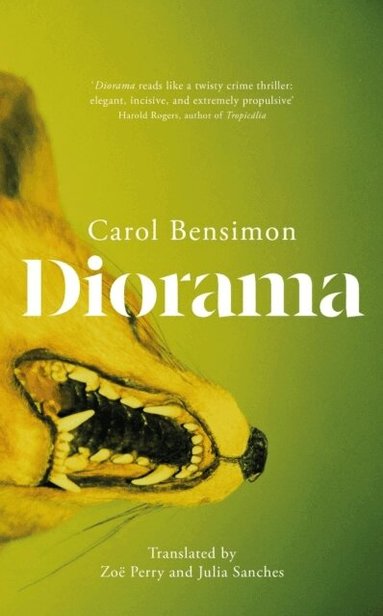 Carol Bensimon - Diorama, Inbunden