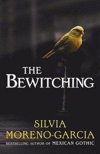 bokomslag The Bewitching