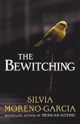 bokomslag The Bewitching