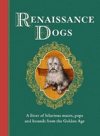 bokomslag Renaissance Dogs