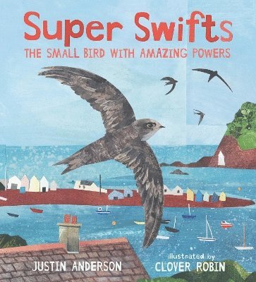 Super Swifts: The Small Bird With Amazing Powers 1