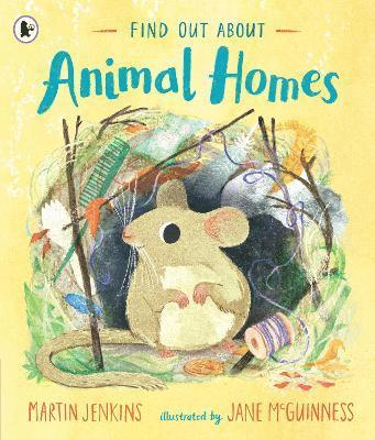 bokomslag Find Out About ... Animal Homes