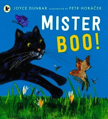 Joyce Dunbar - Mister Boo!, Häftad