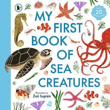 bokomslag My First Book of Sea Creatures