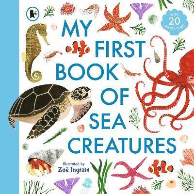 My First Book of Sea Creatures 1