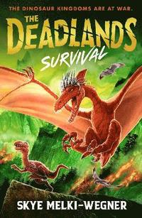 bokomslag The Deadlands: Survival