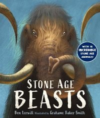 bokomslag Stone Age Beasts