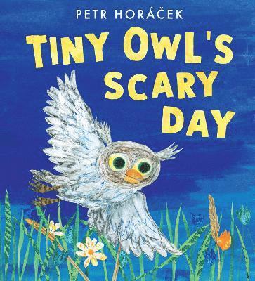 bokomslag Tiny Owl's Scary Day