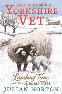 Adventures with a Yorkshire Vet: Lambing Time and Other Animal Tales 1