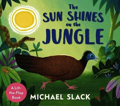 Michael Slack - Sun Shines on the Jungle, Kartonnage