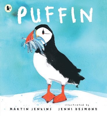 Puffin 1