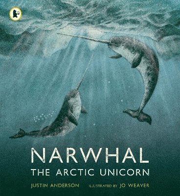 bokomslag Narwhal: The Arctic Unicorn