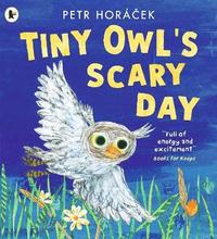 bokomslag Tiny Owl's Scary Day