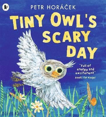 Petr Horácek, Petr Horacek - Tiny Owl's Scary Day, Häftad