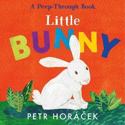 Petr Horácek, Petr Horacek - Little Bunny, Kartonnage