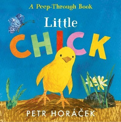 Petr Horácek, Petr Horacek - Little Chick, Kartonnage