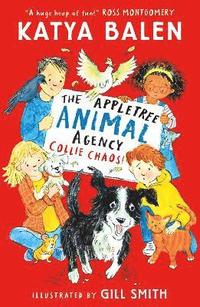 bokomslag Appletree Animal Agency: Collie Chaos