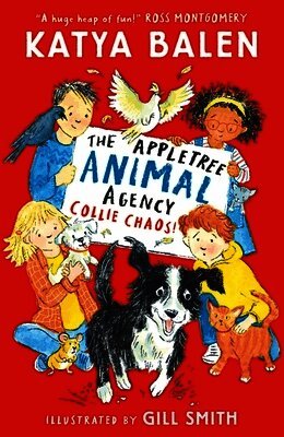Katya Balen - Appletree Animal Agency: Collie Chaos, Häftad