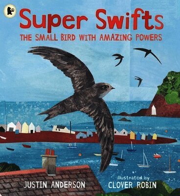 Justin Anderson - Super Swifts: The Small Bird With Amazing Powers, Häftad