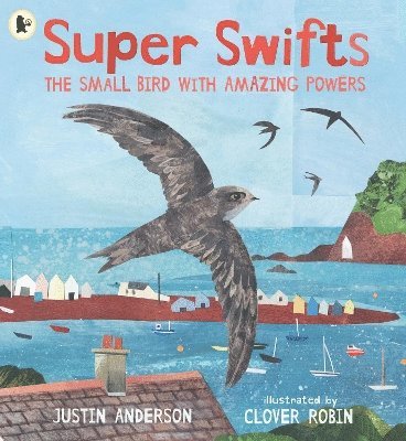 bokomslag Super Swifts: The Small Bird With Amazing Powers