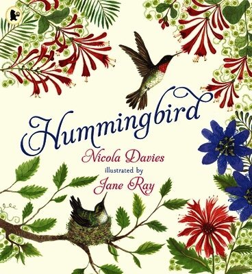 Nicola Davies - Hummingbird, Häftad