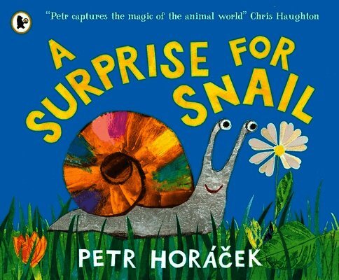 Surprise for Snail