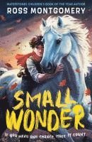 bokomslag Small Wonder
