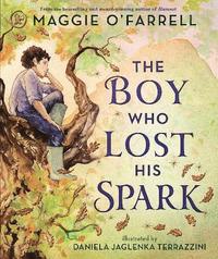 bokomslag Boy Who Lost His Spark